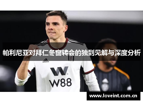 帕利尼亚对拜仁冬窗转会的独到见解与深度分析 帕利尼亚对拜仁冬窗转会的独到见解与深度分析