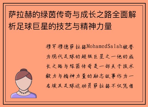 萨拉赫的绿茵传奇与成长之路全面解析足球巨星的技艺与精神力量